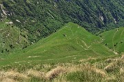 50 Un'occhiata sotto alla malga della Baita Zuccone da dove son salito